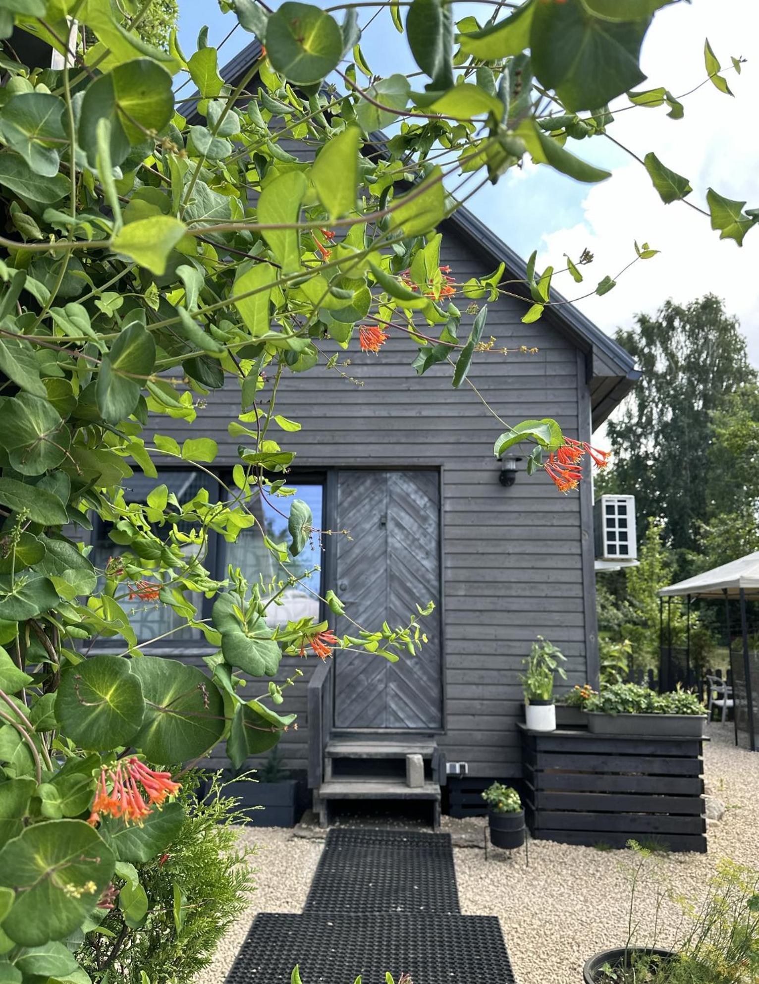 Vila Amazing Little House On An Island With Garden Riga Exteriér fotografie